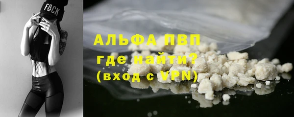 ГАЛЛЮЦИНОГЕННЫЕ ГРИБЫ Каменногорск