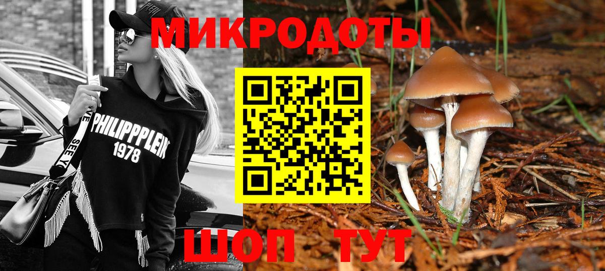 Галлюциногенные грибы Psilocybine cubensis  наркошоп  Вход с VPN  Кингисепп  Галлюциногенные грибы Psilocybe 